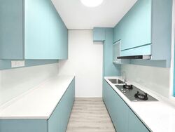 Blk 474 Segar Gardens (Bukit Panjang), HDB Executive #602933041